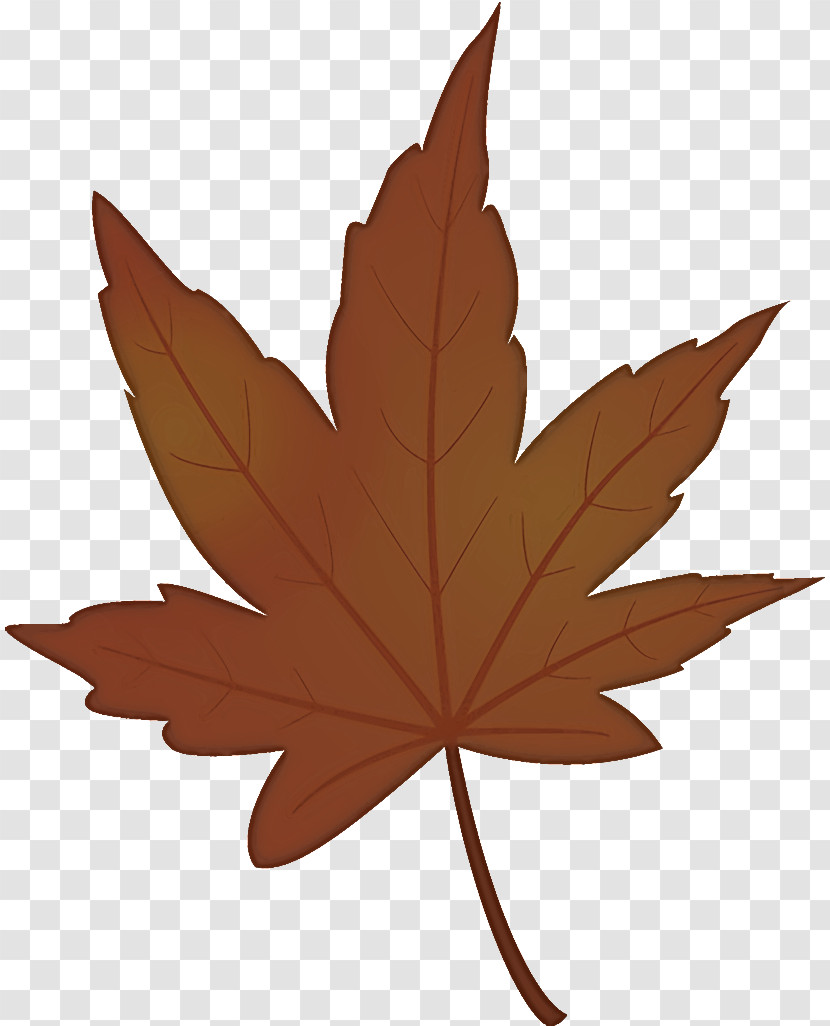 Maple Leaf Autumn Leaf Yellow Leaf Transparent PNG