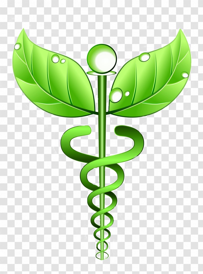Alternative Health Services Medicine Homeopathy Therapy Naturopathy - Herbalism Transparent PNG