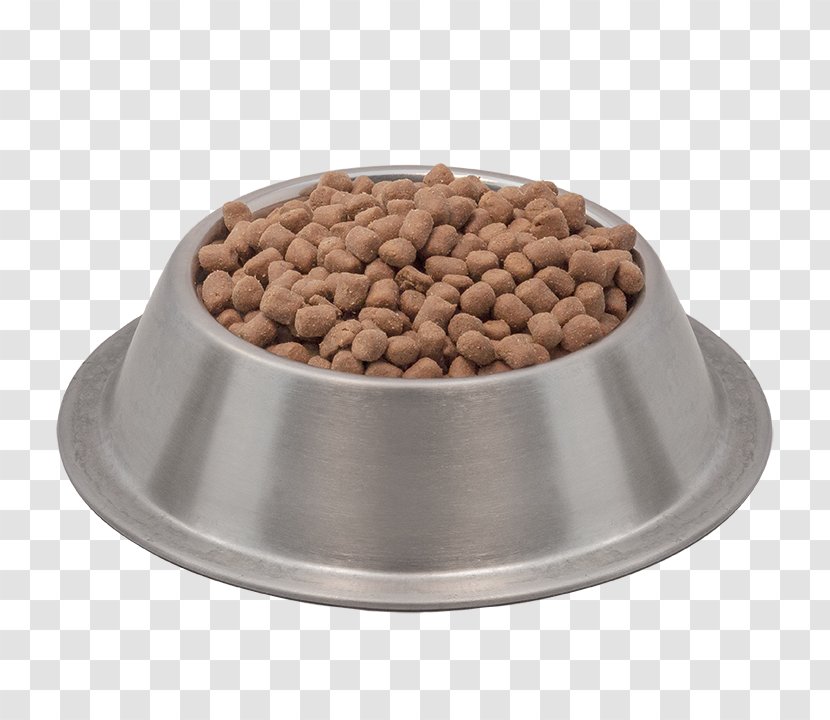 Cat Food Dog Ferret - Pet - Elevated Dish Transparent PNG