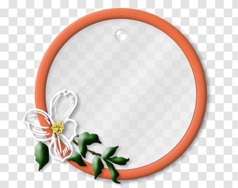 Circle - Orange - 手绘花卉 Transparent PNG