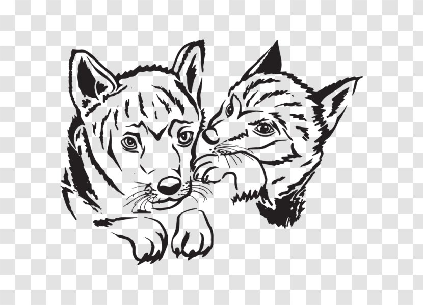 Whiskers Cat Red Fox Line Art Sketch - Eurasian Lynx Transparent PNG