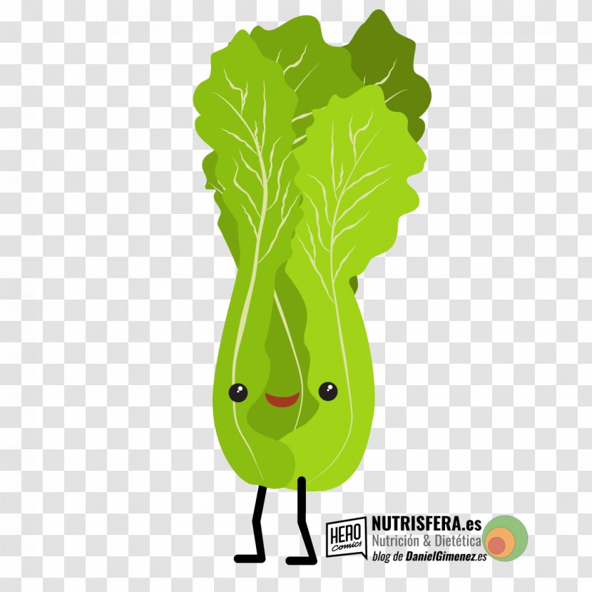 Leaf Vegetable Merienda Breakfast Food - Organism Transparent PNG
