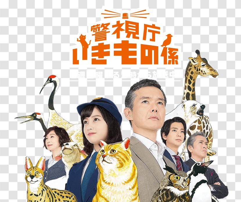 Atsuro Watabe 警視庁いきもの係 Fuji TV Police Drama Japan - Television Transparent PNG
