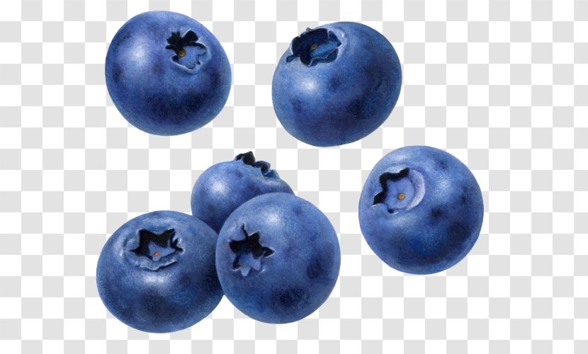 Blueberry Raspberry Fruit - Plant Transparent PNG