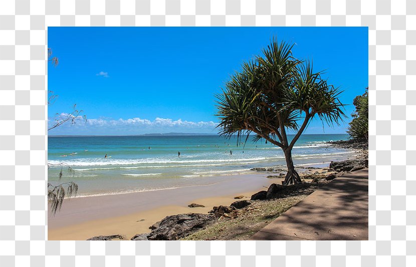 Grampians National Park Brisbane Vacation Sea - Arecales - Sunshine Beach Transparent PNG