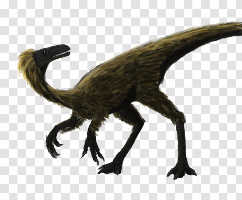 Velociraptor Fauna Character Terrestrial Animal Fiction - Dinosaur - Coelurus Transparent PNG