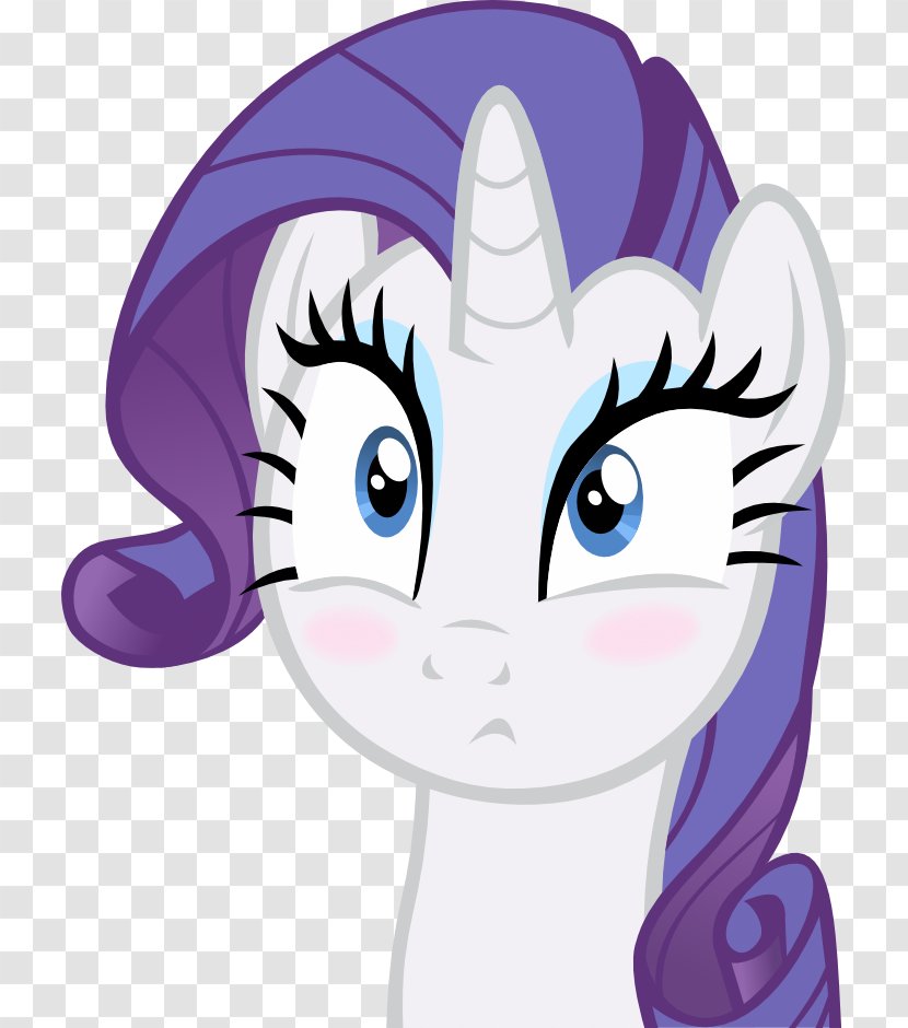 Rainbow Dash Rarity Applejack Pinkie Pie Fluttershy - Frame - Wtf. Vector Transparent PNG