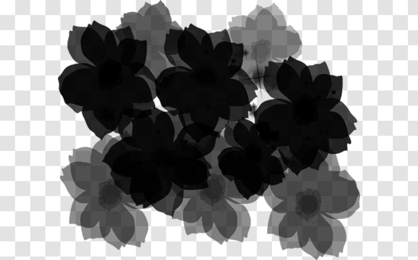 Product Pattern Black M Transparent PNG