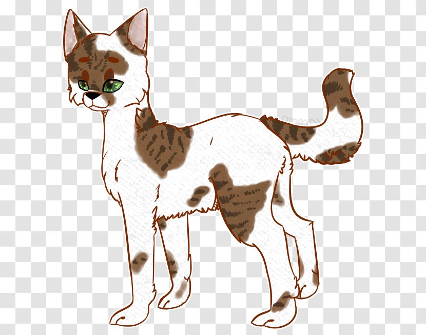 Whiskers Domestic Short-haired Cat Dog Clip Art - Like Mammal - You Make Me Blush Transparent PNG