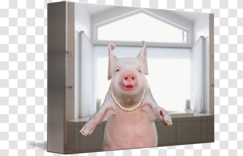 Lipstick On A Pig April Fool's Day Humour Wild Boar - Satire Transparent PNG
