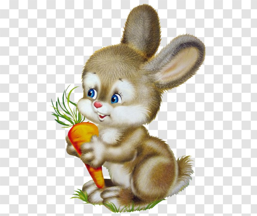 Leporids Easter Bunny Rabbit Photography - Computer Animation - Hare Transparent PNG