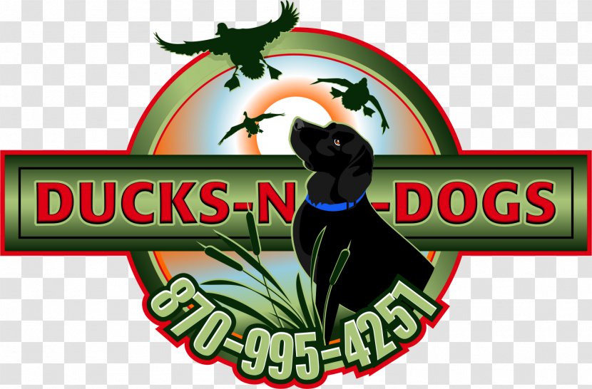 Duck Waterfowl Hunting Dog Water Bird Transparent PNG