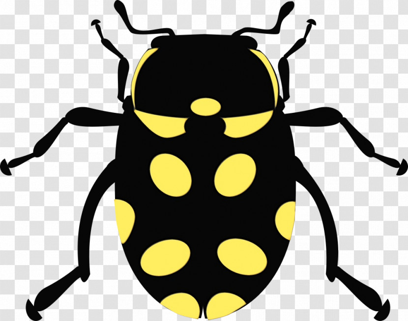 Beetles Ladybird Beetle Cartoon Firefly Insect Transparent PNG