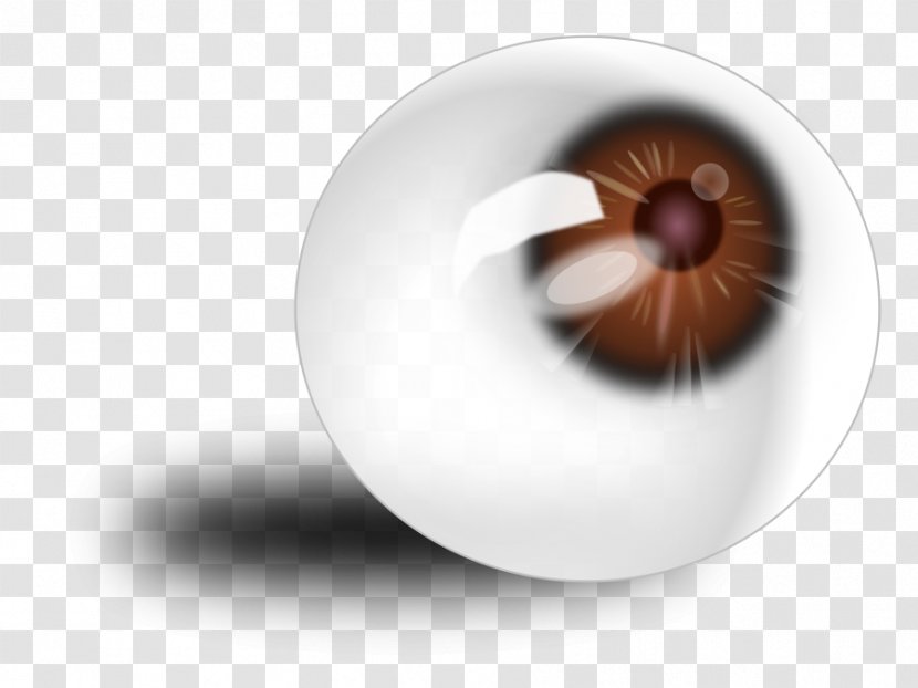 Eye Globe Clip Art - Pixabay - Eyeball Graphics Transparent PNG