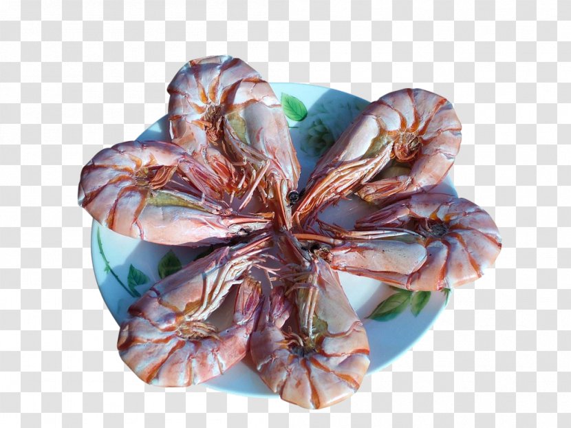 Shrimp Prawn Salt - Ingredient - Salty Prawns Dry Transparent PNG