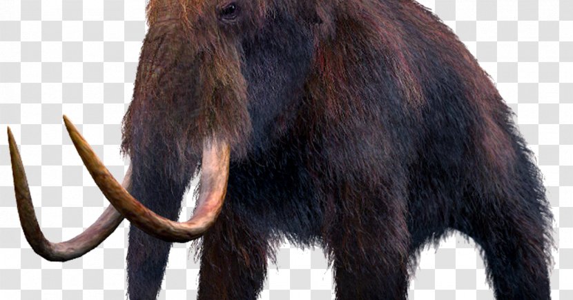 Mammuthus Meridionalis Woolly Mammoth Extinction Columbian Mammal - Goats Transparent PNG