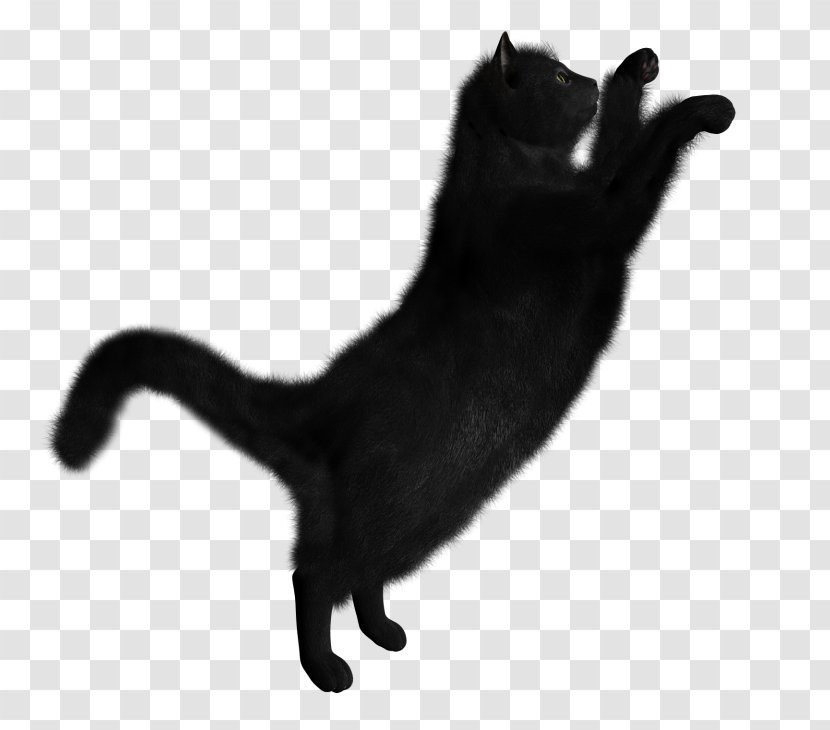 Black Cat Kitten Clip Art - Tail Transparent PNG