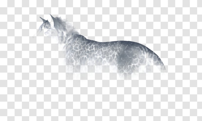 Horse Cat Mammal Dog Whiskers - Crackle Transparent PNG