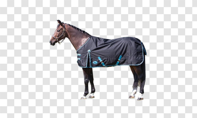 Horse Blanket Equestrian Gallop Horze - Pack Animal Transparent PNG