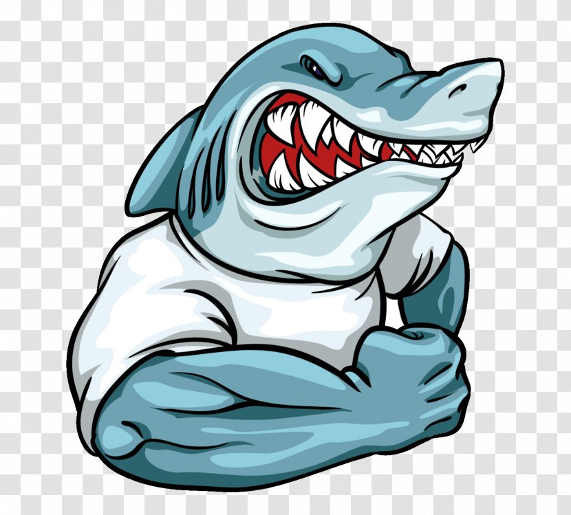 Shark Logo Mascot - Fish - Sharks Transparent PNG