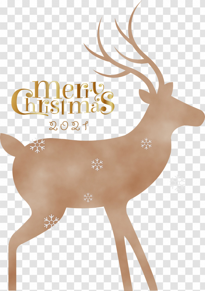 Christmas Day Transparent PNG