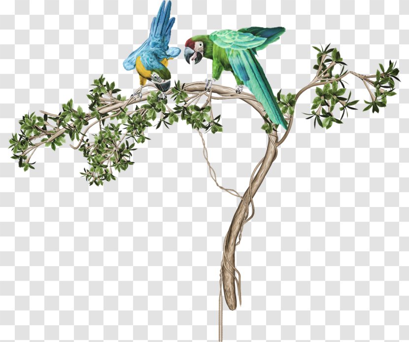 Flowers Background - Bluebird - Hummingbird Coraciiformes Transparent PNG