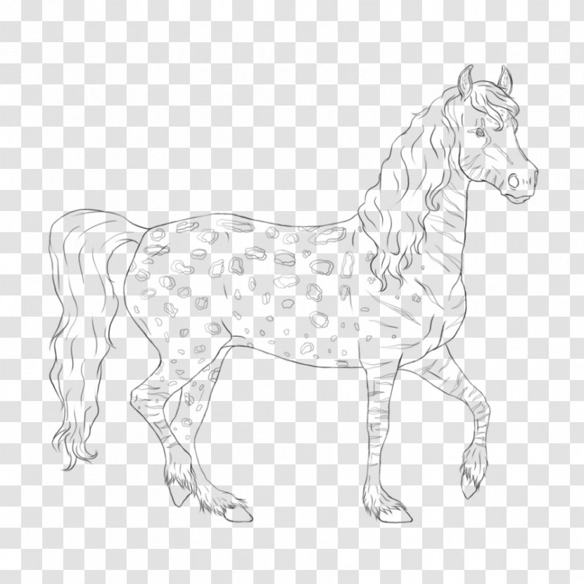 Mule Foal Halter Stallion Colt - Artwork - Citron Vert Transparent PNG