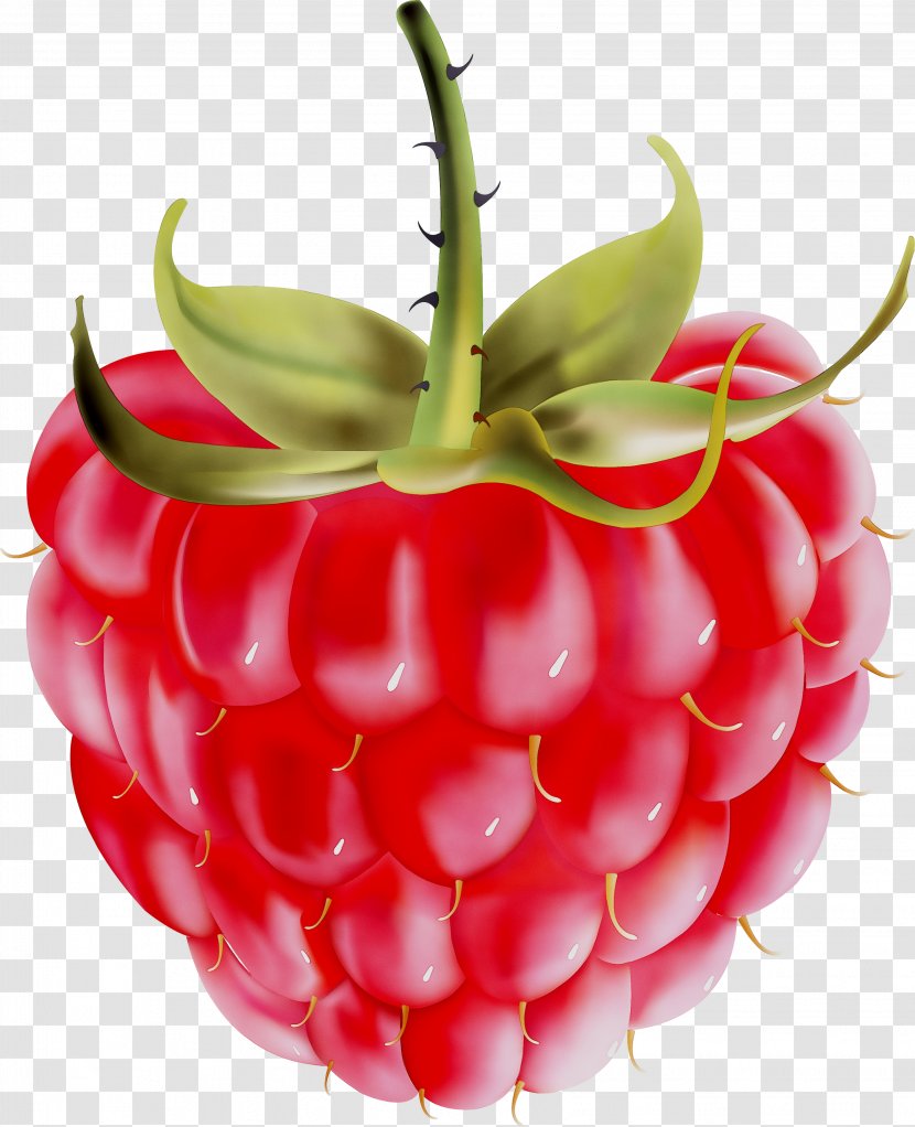 Strawberry Raspberry Accessory Fruit Food - Vegetable - Local Transparent PNG