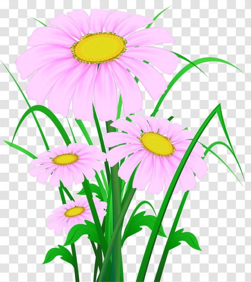 Wildflower Desktop Wallpaper Clip Art - Herbaceous Plant Transparent PNG