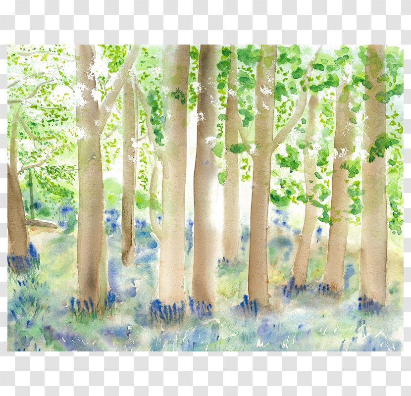 Art Museum Painting Flowers Gallery - Woodland Transparent PNG