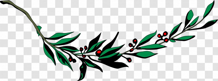 Laurel Wreath Bay Clip Art - Leaf - Olive Branch Transparent PNG