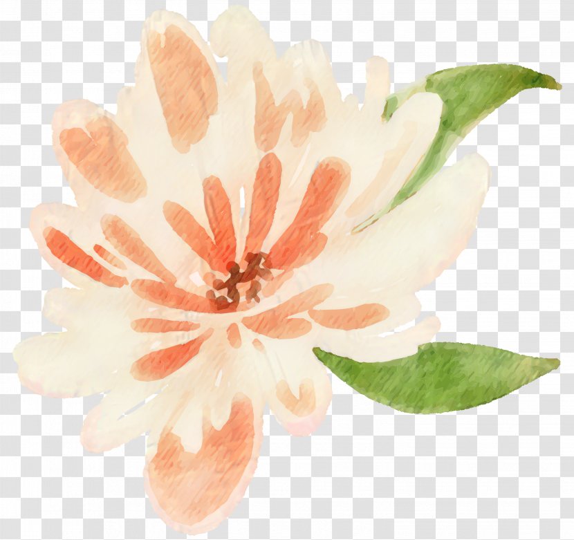 Clip Art Petal Flower Watercolor Painting Floral Design - Botany Transparent PNG