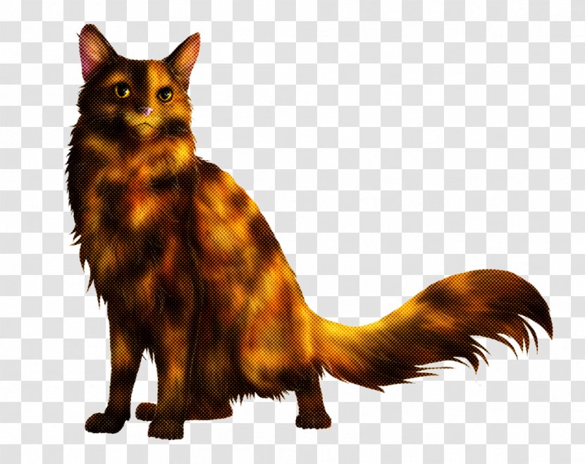 Cat Small To Medium-sized Cats Somali Tail Whiskers - American Bobtail Maine Coon Transparent PNG