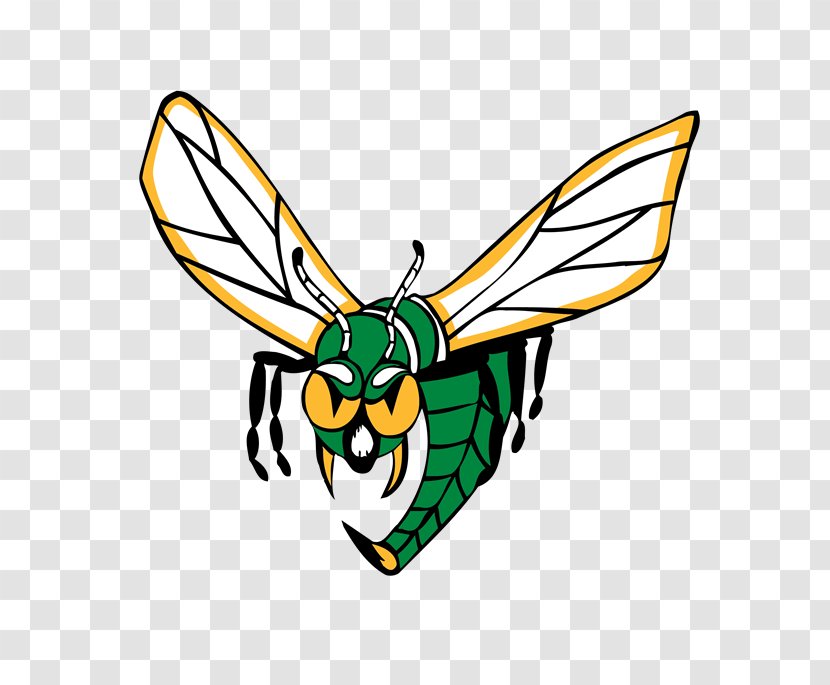 Edina High School Elk River Student - Wing - Dream Department Transparent PNG