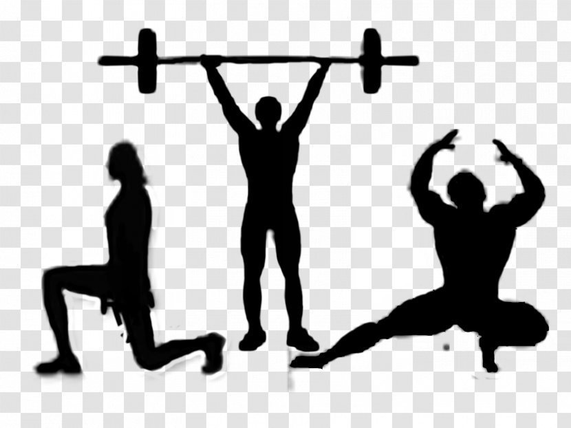 Silhouette Bodybuilding Training Physical Fitness - Weight Transparent PNG