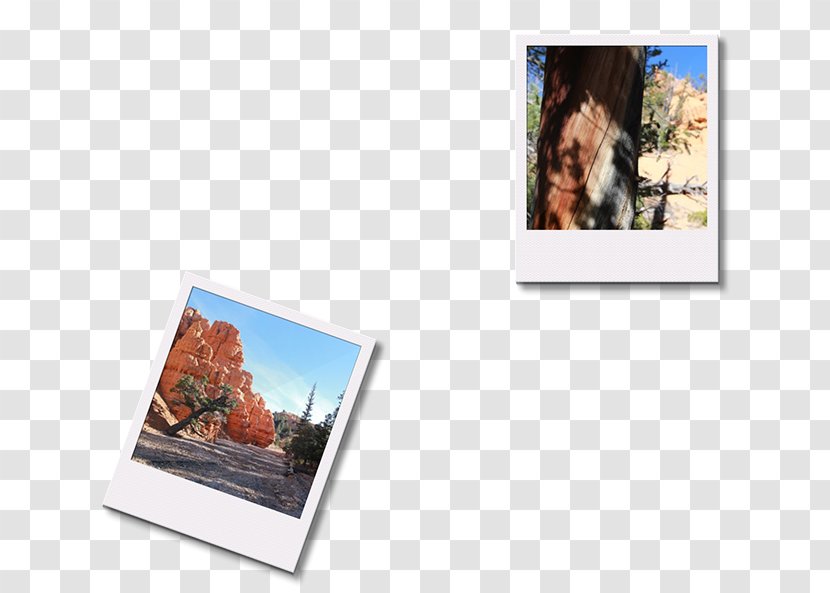 Photographic Paper Picture Frames Photography Transparent PNG