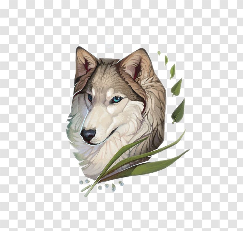 Siberian Husky Gray Wolf Saarloos Wolfdog Drawing Illustration - Digital Art Transparent PNG
