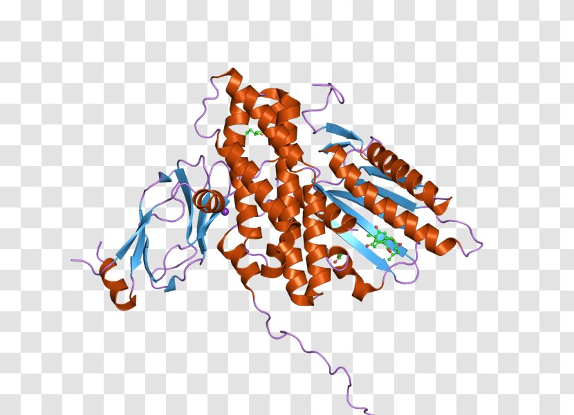 Pyruvate Dehydrogenase Kinase Complex Dihydrolipoyl Transacetylase Enzyme - Lipoamide Isozyme 1 - Branchedchain Alphaketo Acid Transparent PNG