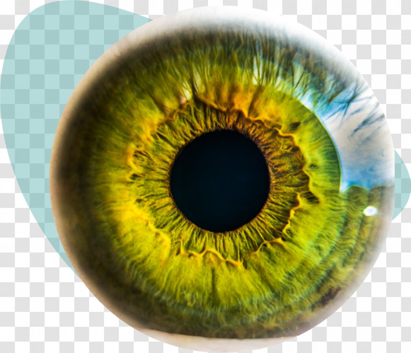 Eye Surgery Injury LASIK Keratoconus - Heart - Eyeball Transparent PNG