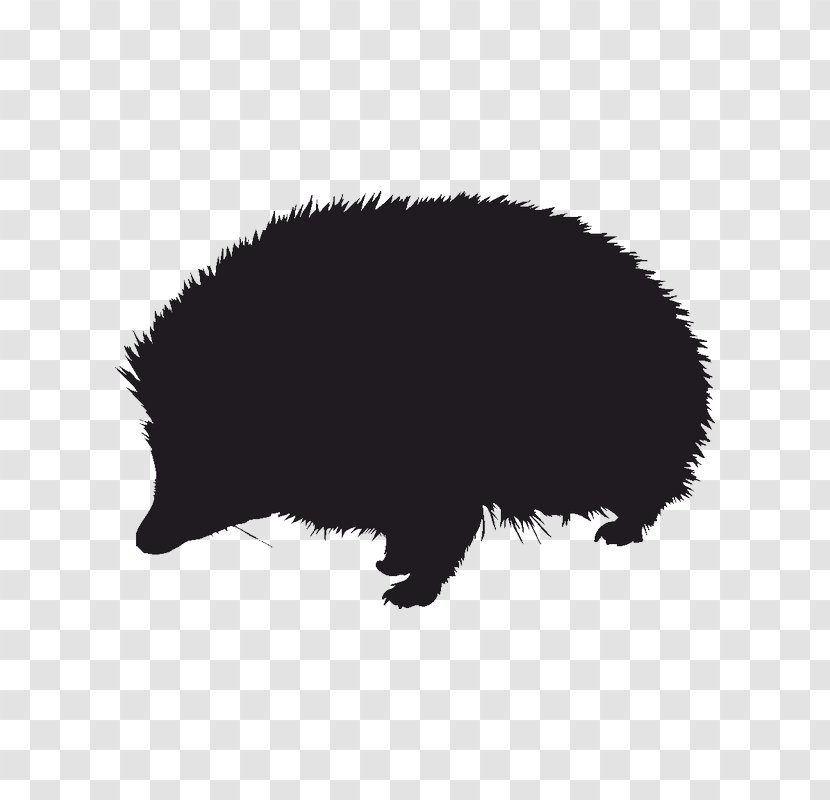 Hedgehog Silhouette Drawing Image Vector Graphics - Bear Transparent PNG