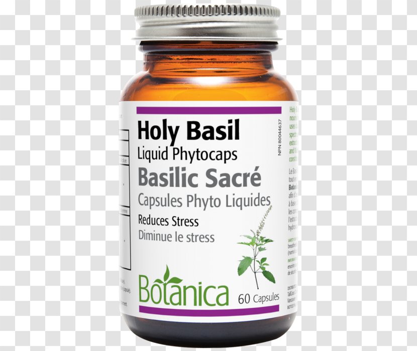 Capsule Holy Basil Health Herb Liquid - Herbal Transparent PNG