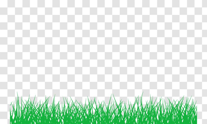 Bamboo Information Lawn - Plant Transparent PNG