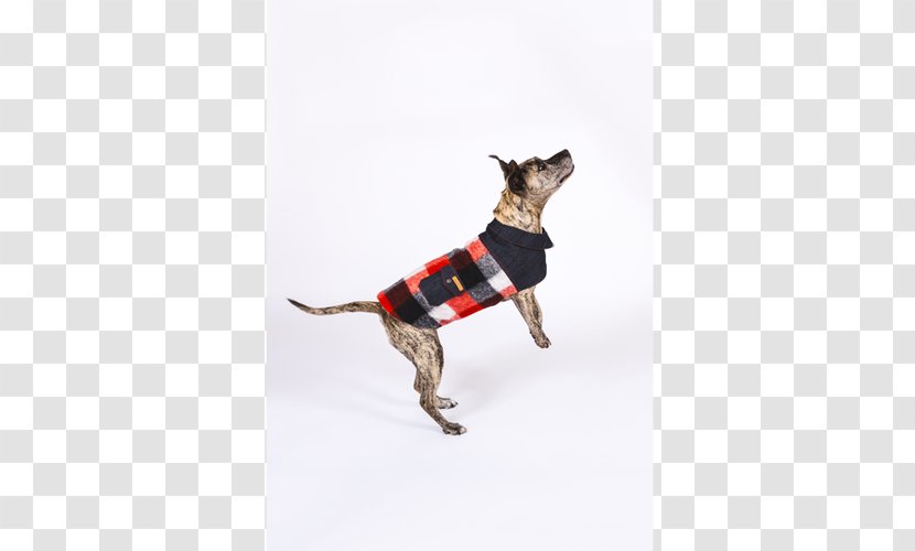 Dog Breed Italian Greyhound Coat Staffordshire Bull Terrier Jacket - Carnivoran Transparent PNG