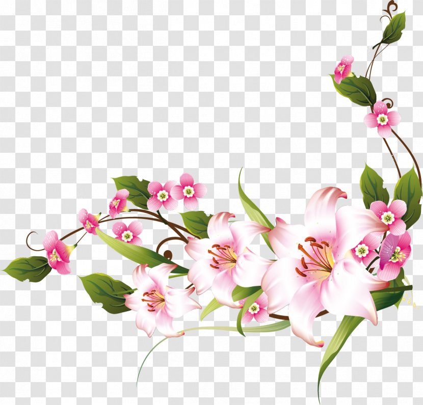 International Women's Day Public Holiday 8 March Woman - Moth Orchid Transparent PNG