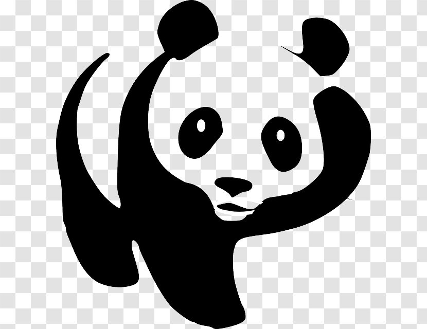 The Giant Panda Bear Clip Art - Black And White Transparent PNG