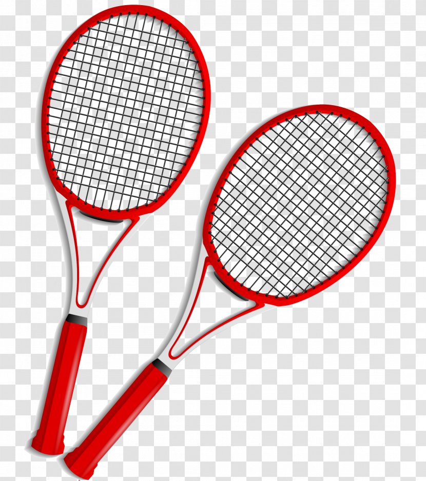 Racket Tennis Euclidean Vector Rakieta Tenisowa Ball - Racquetball Transparent PNG