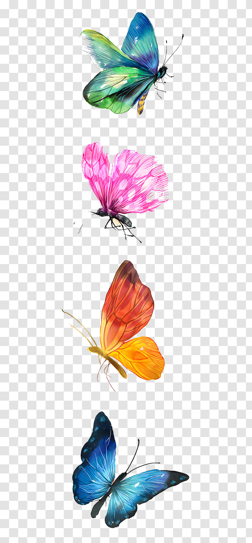 Butterfly - Colorful Illustration Of Butterflies Transparent PNG