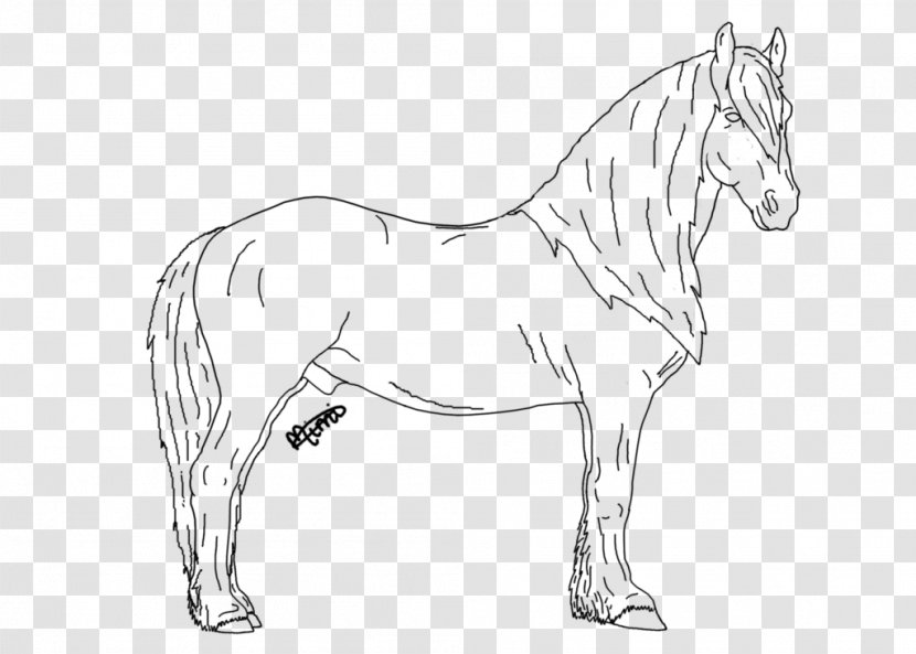 Friesian Horse Mustang Andalusian Mane Stallion Transparent PNG