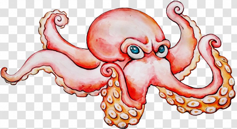 Octopus Cartoon - Mouth - Hearing Jaw Transparent PNG