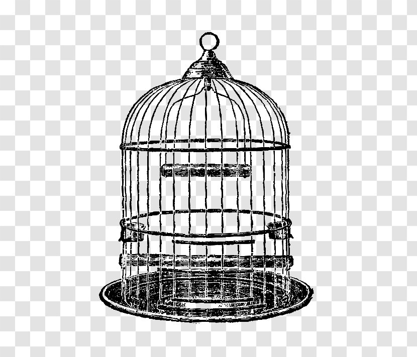 Birdcage Parrot Clip Art - Domestic Canary - Vector Transparent PNG